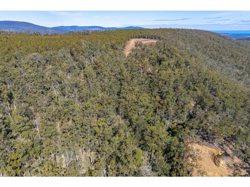 Lot D Hurdle Road, Saltwater River TAS 7186