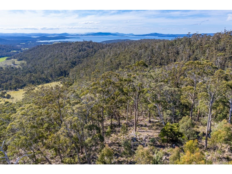 Lot D Hurdle Road, Saltwater River TAS 7186