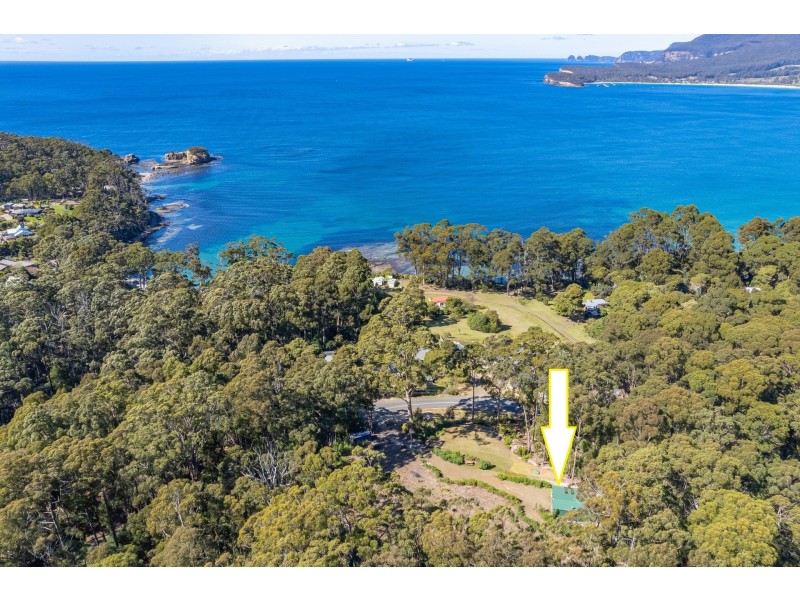 12 Lyndal Drive, Eaglehawk Neck TAS 7179