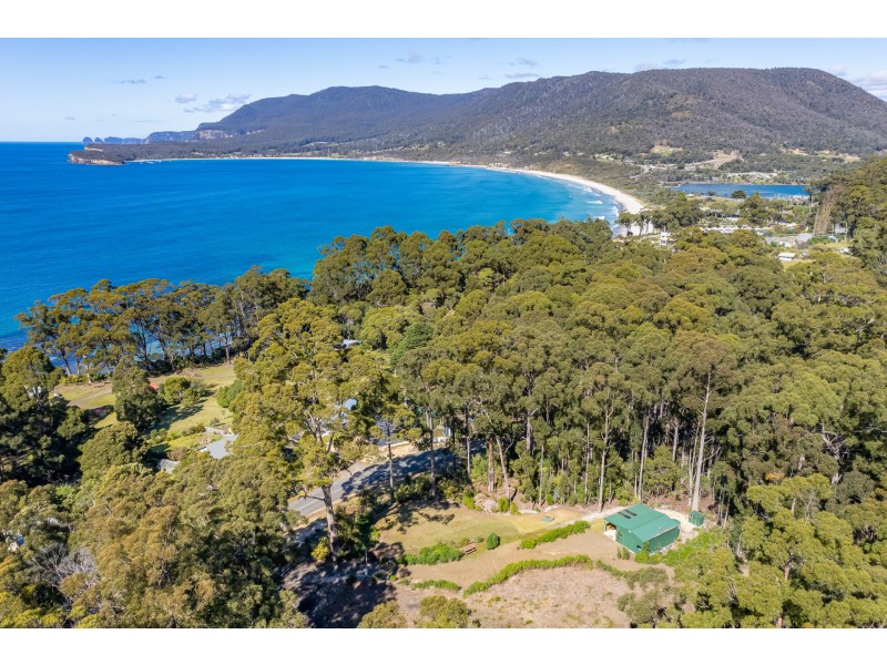 12 Lyndal Drive, Eaglehawk Neck TAS 7179