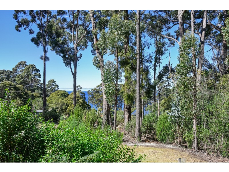 12 Lyndal Drive, Eaglehawk Neck TAS 7179