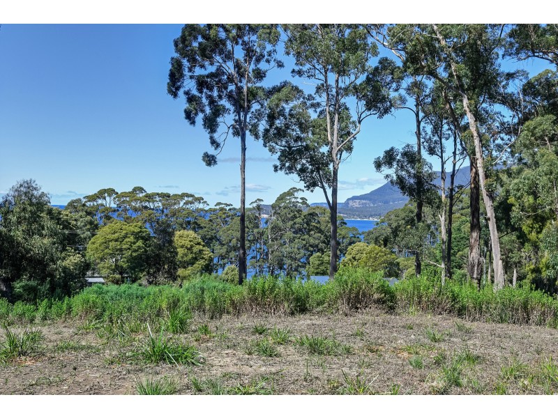 12 Lyndal Drive, Eaglehawk Neck TAS 7179