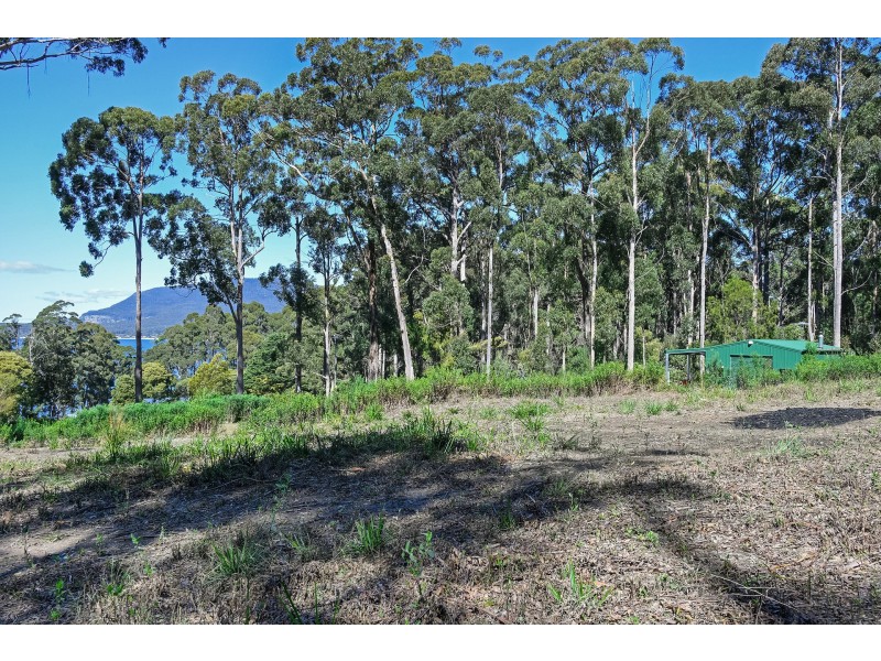 12 Lyndal Drive, Eaglehawk Neck TAS 7179