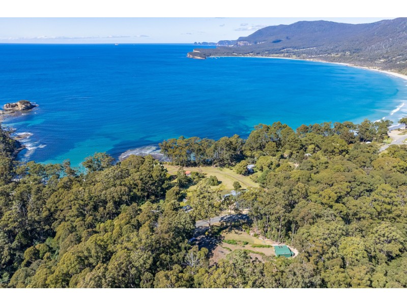 12 Lyndal Drive, Eaglehawk Neck TAS 7179