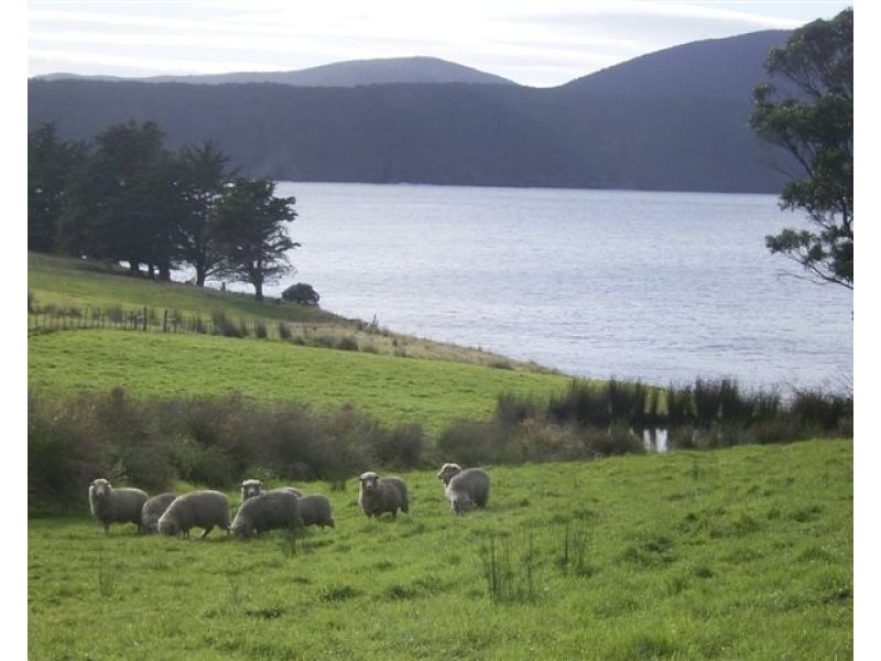 411 Safety Cove Road, Port Arthur TAS 7182