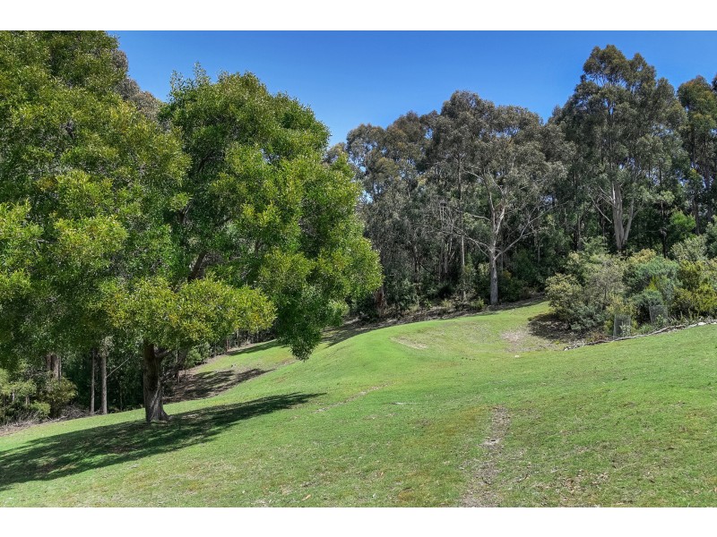 192 Pirates Bay Road, Eaglehawk Neck TAS 7179