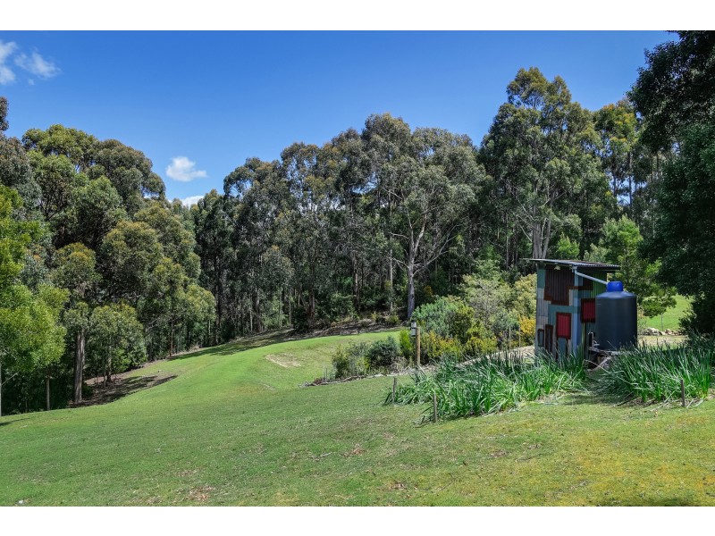 192 Pirates Bay Road, Eaglehawk Neck TAS 7179