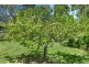 4026 Arthur Highway, Murdunna TAS 7178