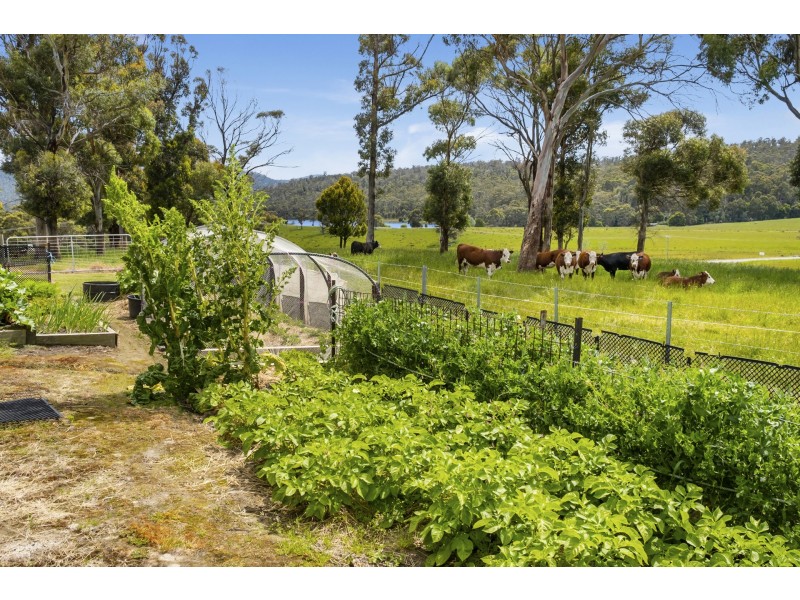 1974 Arthur Highway, Copping TAS 7174
