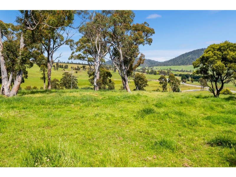 1974 Arthur Highway, Copping TAS 7174