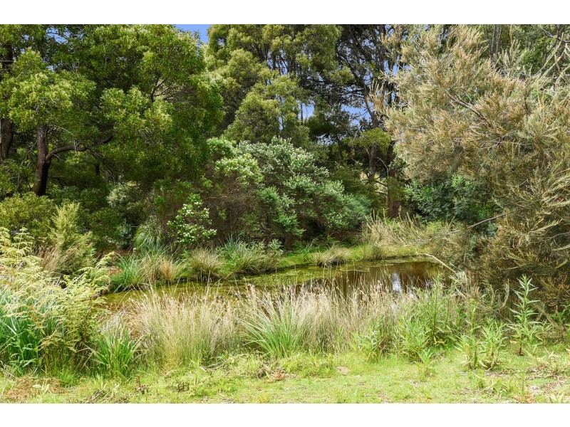 6 Gwen Road, Port Arthur TAS 7182
