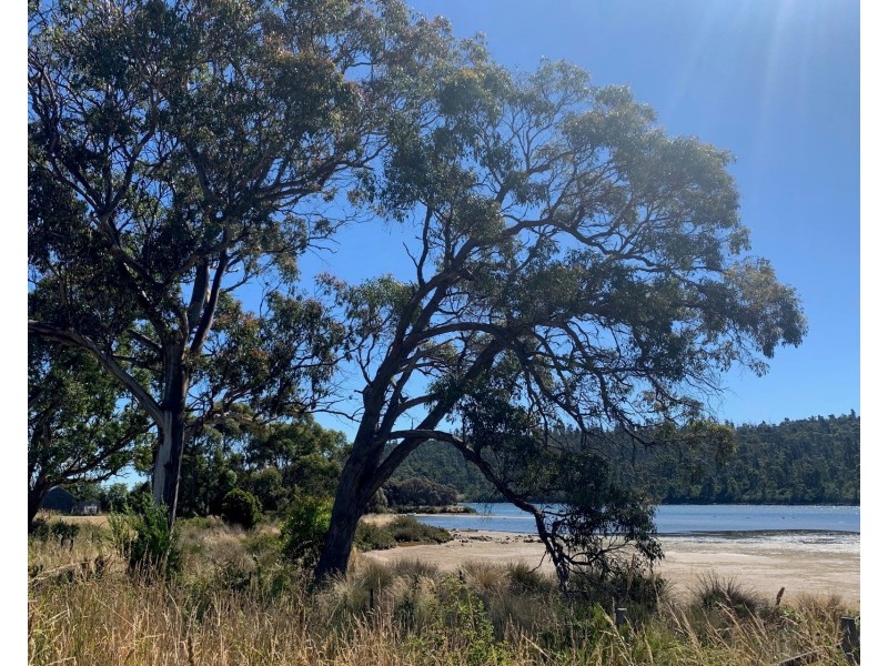 Lot 1-3934 Arthur Highway, Murdunna TAS 7178