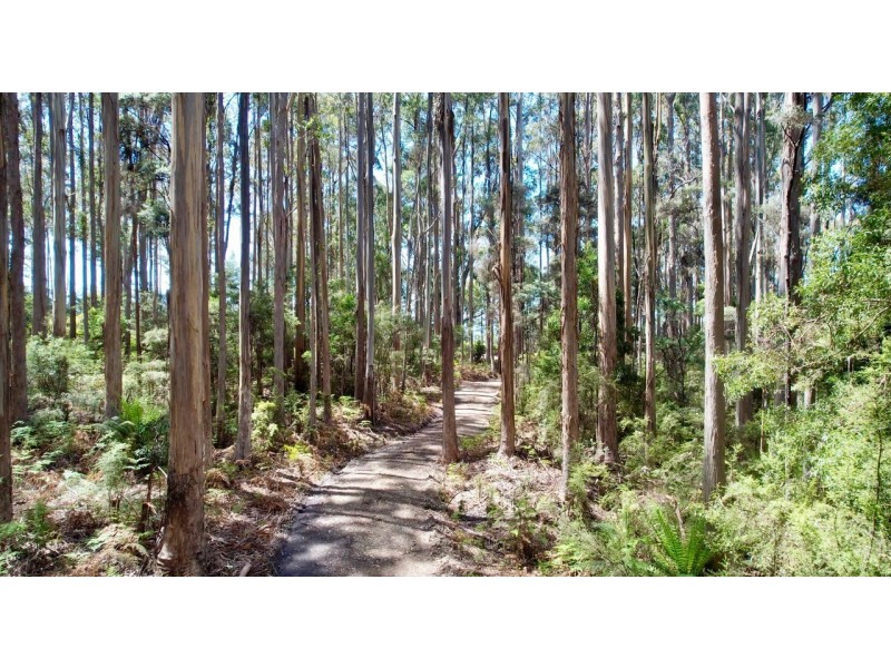 Lot 2 Lookout Road, Port Arthur TAS 7182