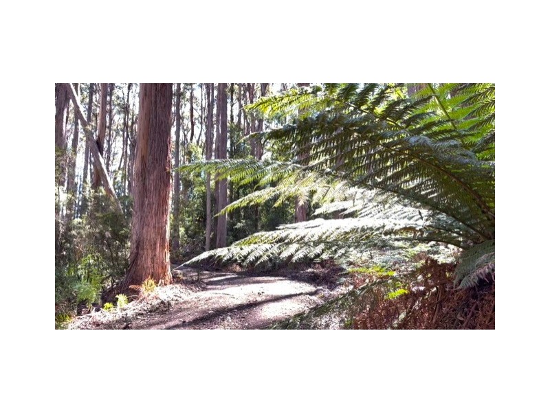Lot 2 Lookout Road, Port Arthur TAS 7182