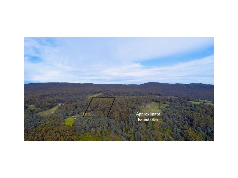 Lot 2 Lookout Road, Port Arthur TAS 7182