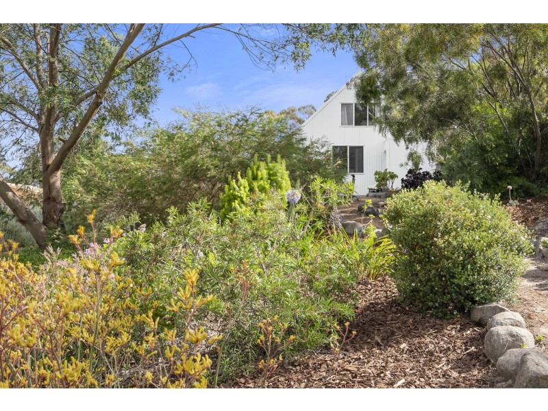 3 Wedgetail Street, Primrose Sands TAS 7173