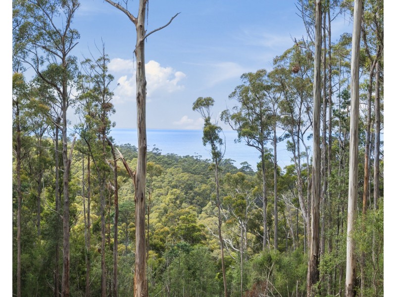 4/298 Pirates Bay Drive, Eaglehawk Neck TAS 7179