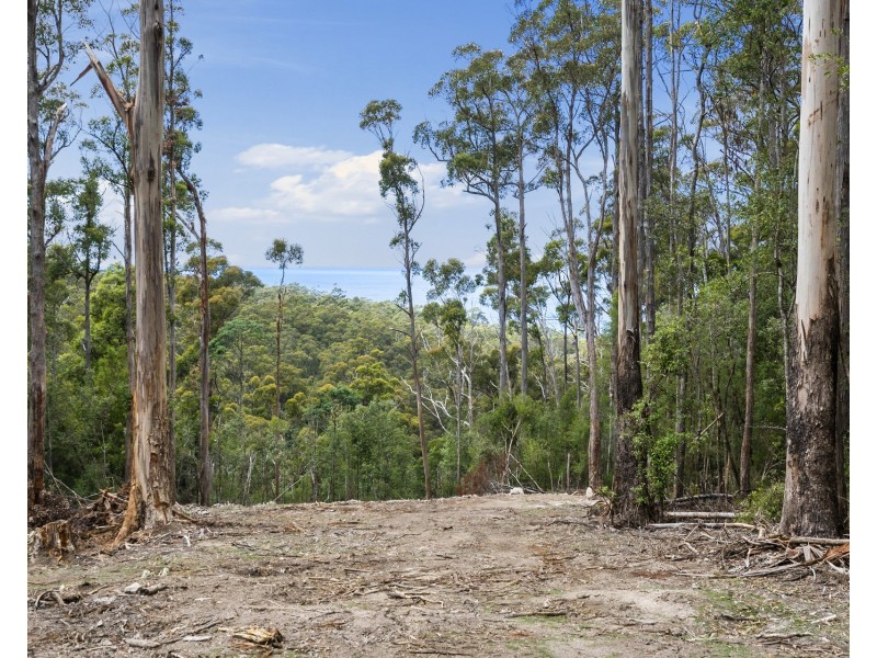 4/298 Pirates Bay Drive, Eaglehawk Neck TAS 7179