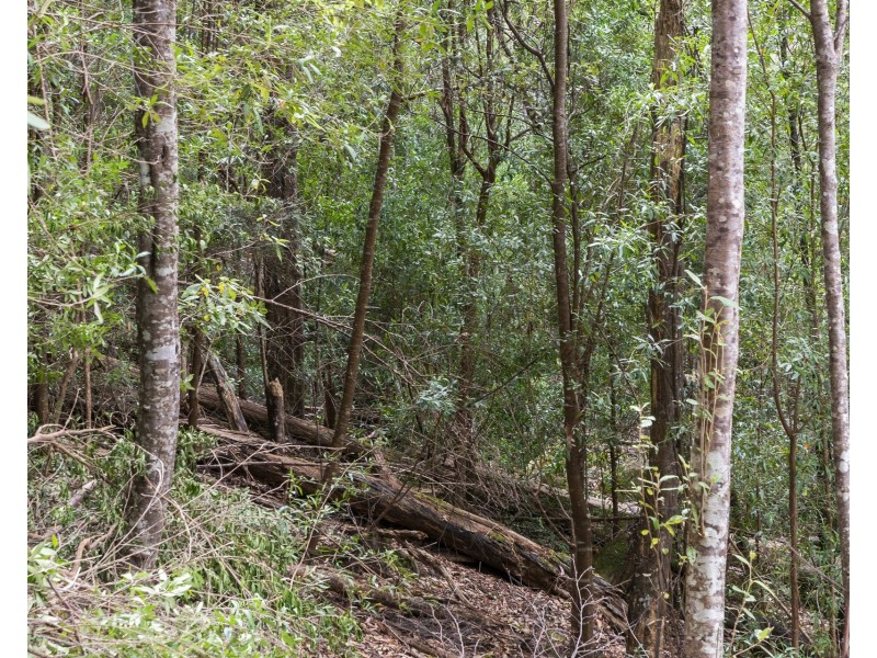 4/298 Pirates Bay Drive, Eaglehawk Neck TAS 7179