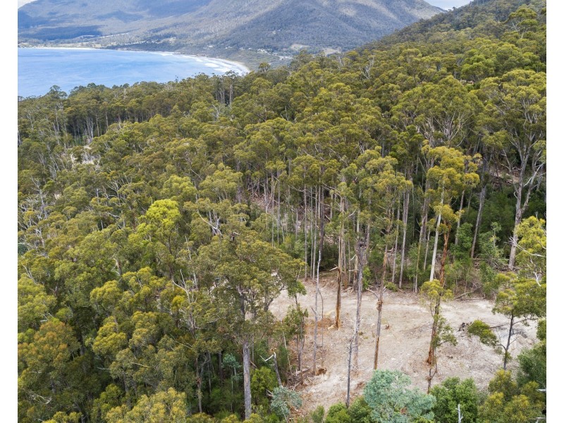 4/298 Pirates Bay Drive, Eaglehawk Neck TAS 7179