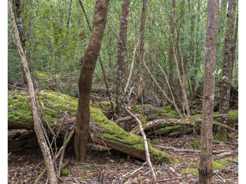 4/298 Pirates Bay Drive, Eaglehawk Neck TAS 7179