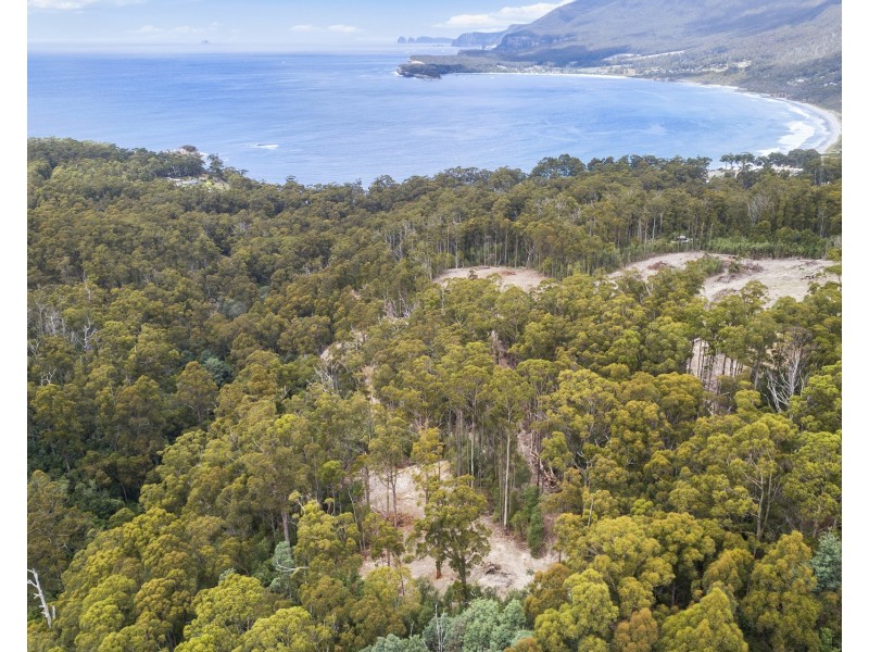 4/298 Pirates Bay Drive, Eaglehawk Neck TAS 7179