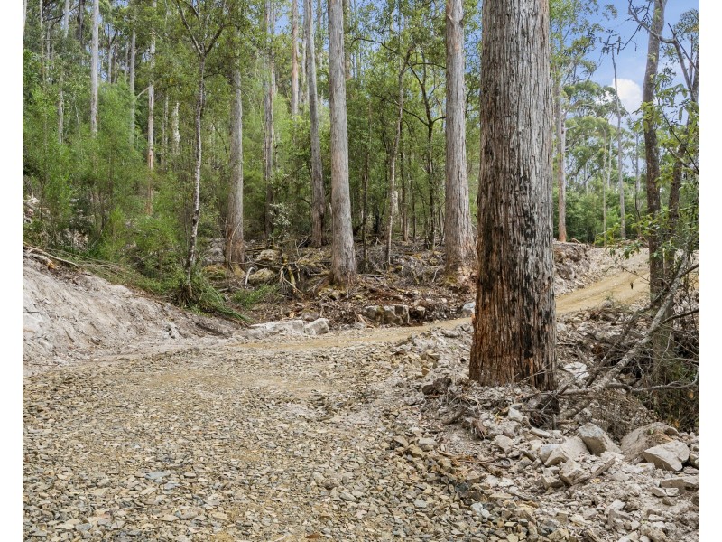 4/298 Pirates Bay Drive, Eaglehawk Neck TAS 7179