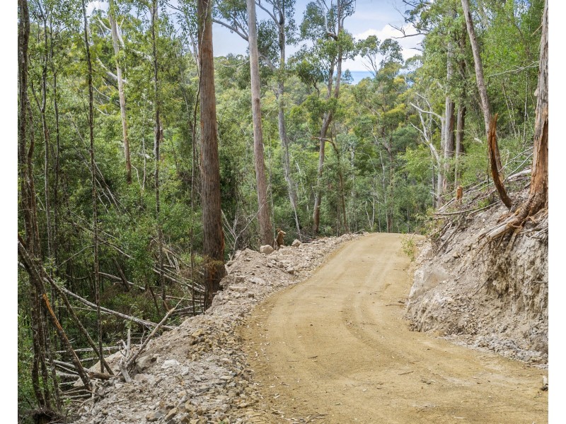 4/298 Pirates Bay Drive, Eaglehawk Neck TAS 7179