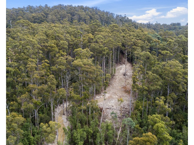 4/298 Pirates Bay Drive, Eaglehawk Neck TAS 7179