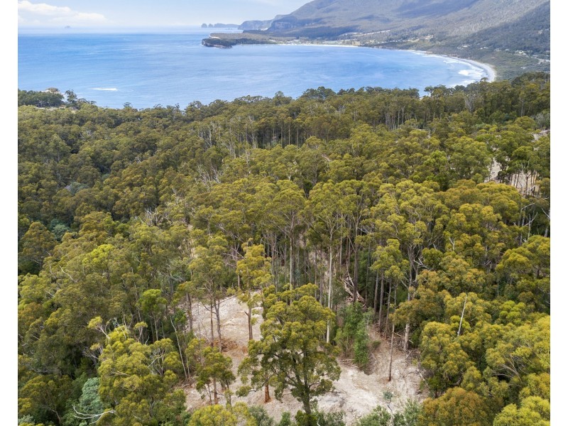 4/298 Pirates Bay Drive, Eaglehawk Neck TAS 7179