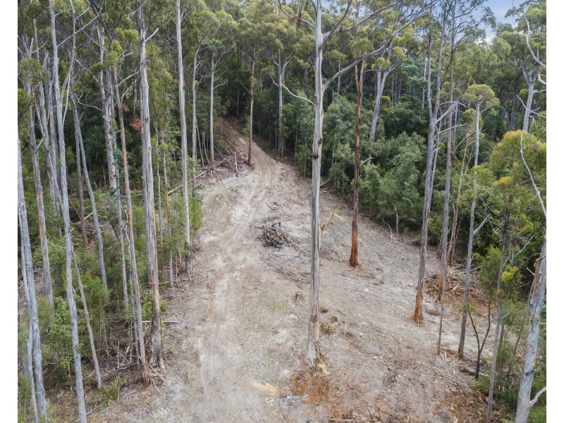 4/298 Pirates Bay Drive, Eaglehawk Neck TAS 7179