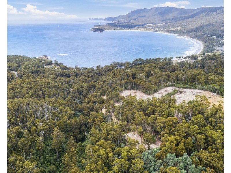 4/298 Pirates Bay Drive, Eaglehawk Neck TAS 7179