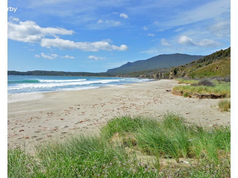 4/298 Pirates Bay Drive, Eaglehawk Neck TAS 7179