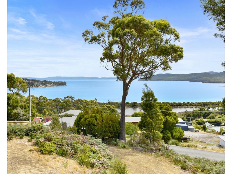 78 Lagoon Road, White Beach TAS 7184