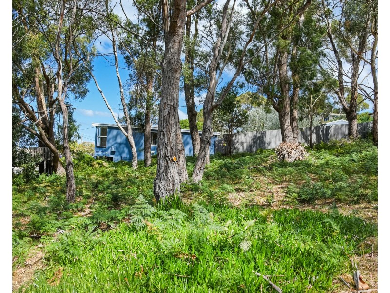 16 Little Falcon Street, Primrose Sands TAS 7173