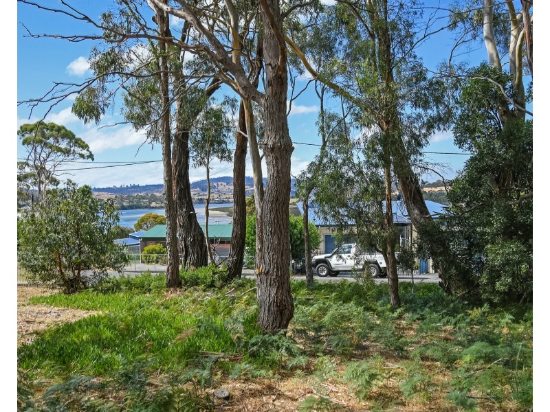 16 Little Falcon Street, Primrose Sands TAS 7173