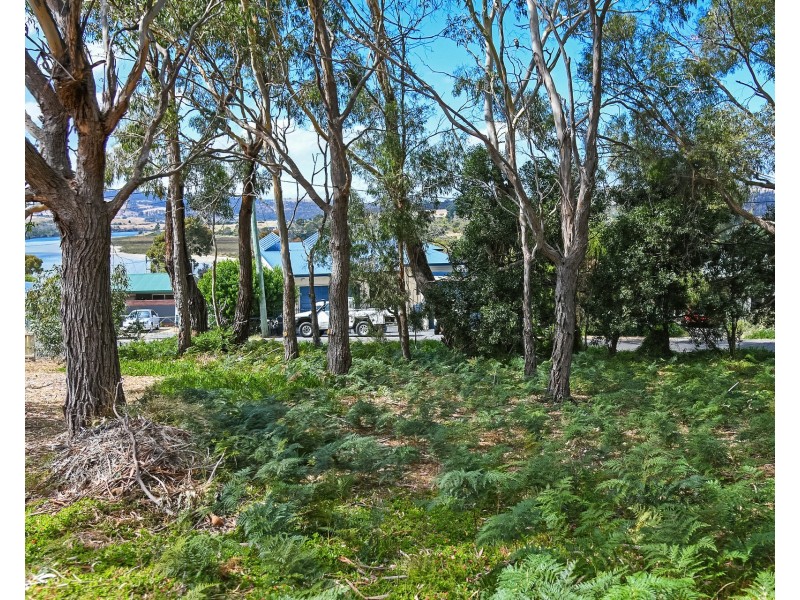 16 Little Falcon Street, Primrose Sands TAS 7173