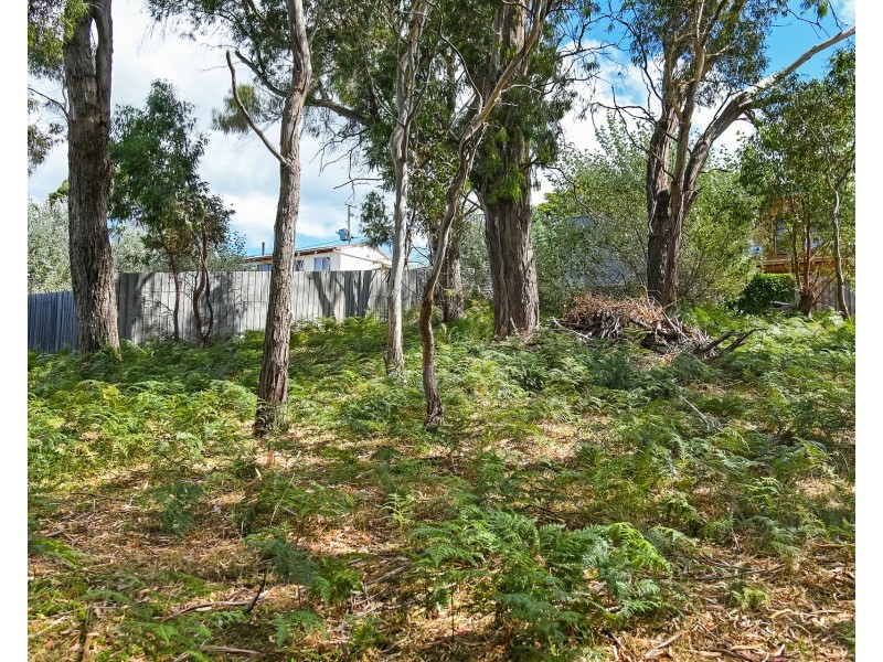 16 Little Falcon Street, Primrose Sands TAS 7173