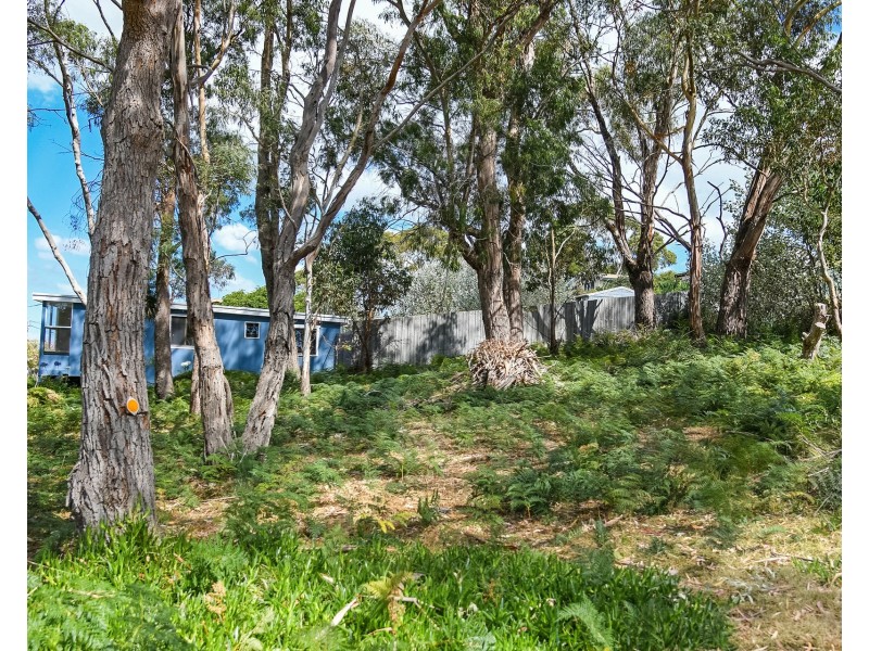 16 Little Falcon Street, Primrose Sands TAS 7173