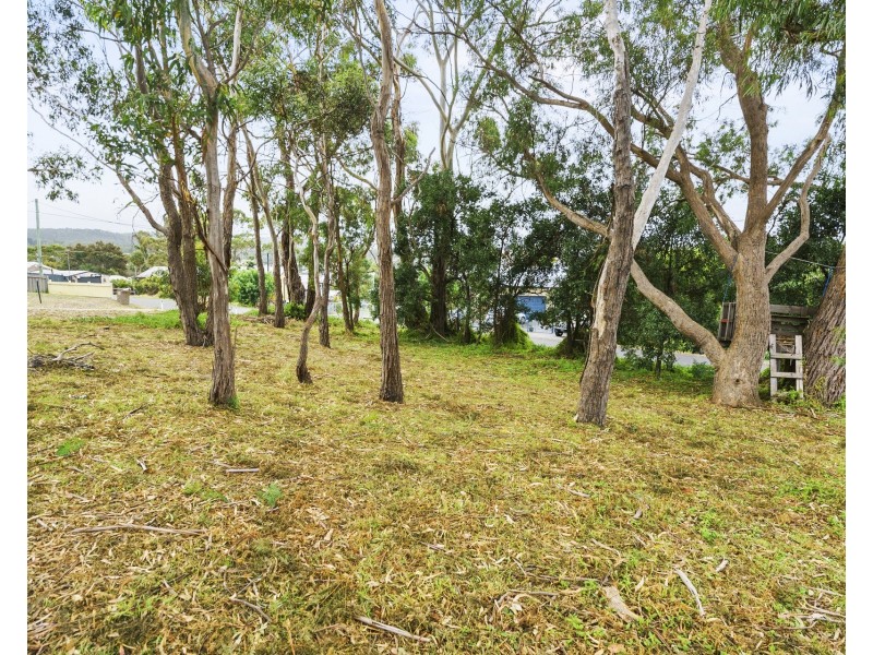 16 Little Falcon Street, Primrose Sands TAS 7173