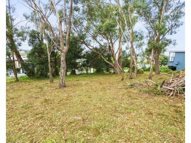 16 Little Falcon Street, Primrose Sands TAS 7173