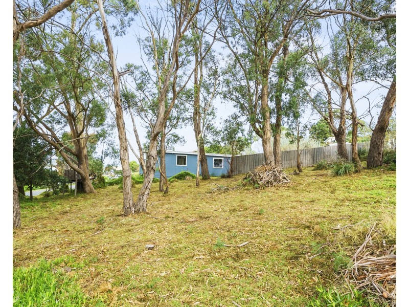 16 Little Falcon Street, Primrose Sands TAS 7173