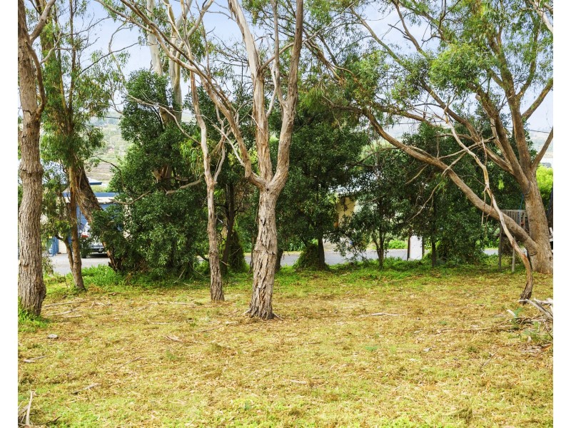 16 Little Falcon Street, Primrose Sands TAS 7173