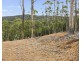 Lot 1 Arthur Highway, Port Arthur TAS 7182