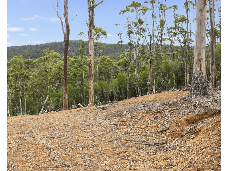 Lot 1 Arthur Highway, Port Arthur TAS 7182