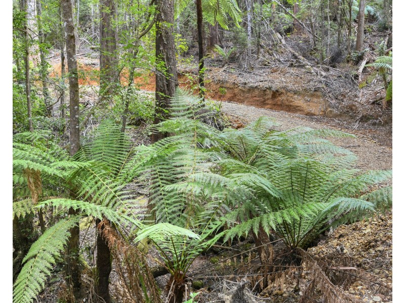 Lot 1 Arthur Highway, Port Arthur TAS 7182