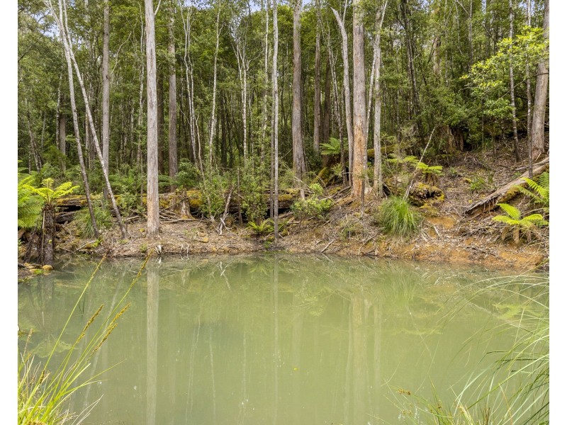Lot 1 Arthur Highway, Port Arthur TAS 7182