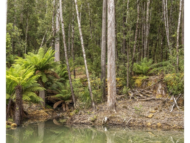 Lot 1 Arthur Highway, Port Arthur TAS 7182