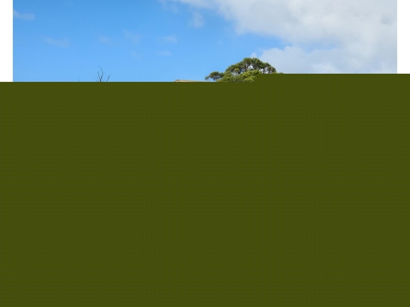 Unit 1/22 Parsonage Place, Sorell TAS 7172