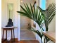 10 Seventh Avenue, Dodges Ferry TAS 7173